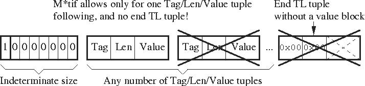 \begin{itemlist}
\item If the length $<$\ \code{0x80}, then length is contained ...
...hskip\leftmargin\epsfig {file=BER_len3.eps,scale=1.09}\end{figure}\end{itemlist}